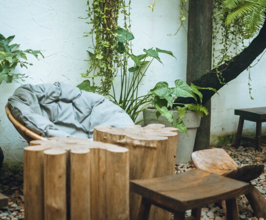 Jaka będzie ogrodowa moda na przyszły rok?