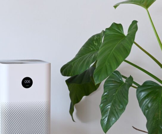 Jak działa ozonator profesjonalny?